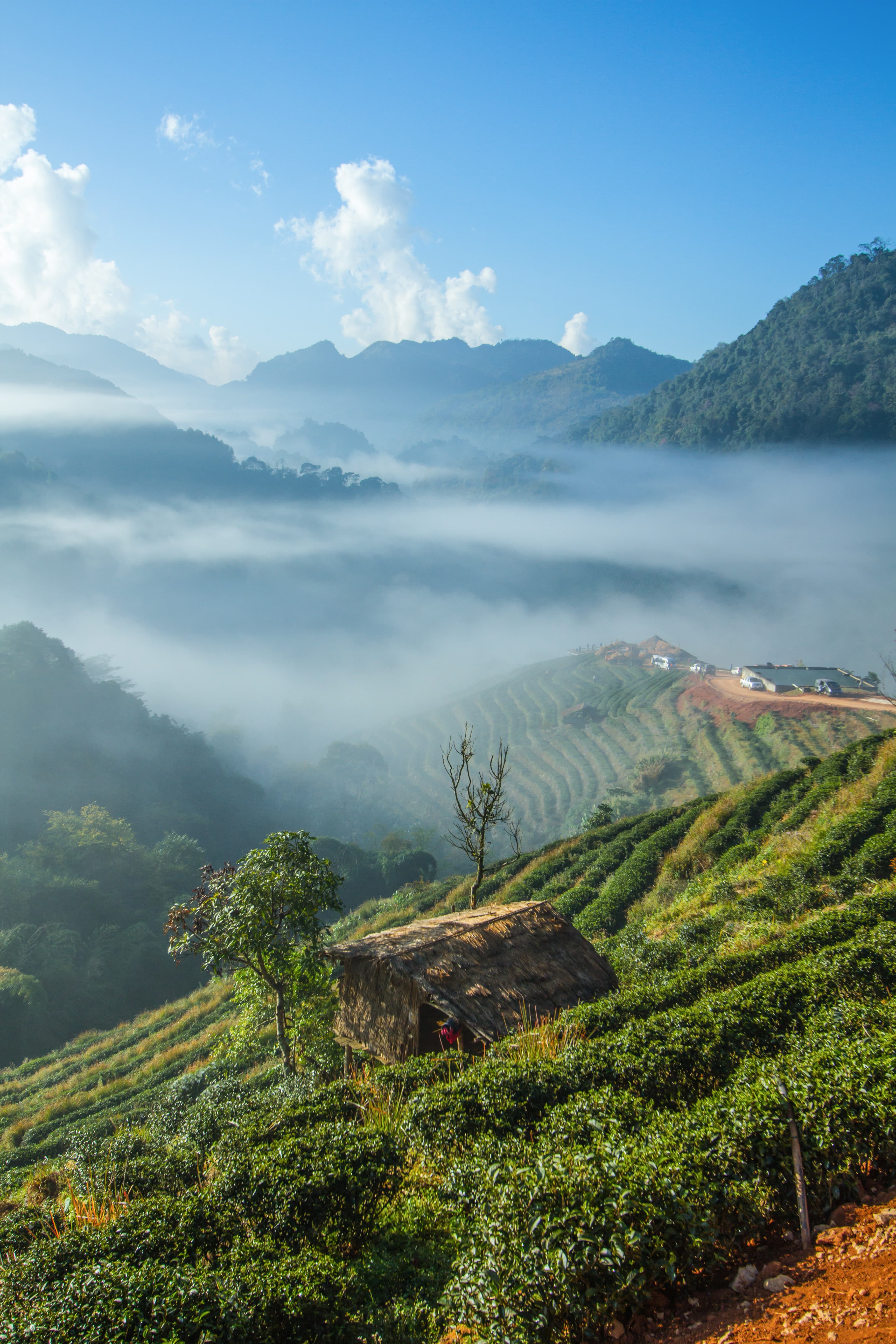 Coimbatore to Munnar Round Trip